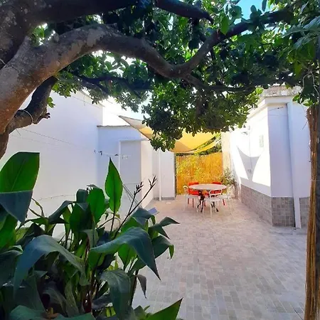 Orange House - Ciraccio
